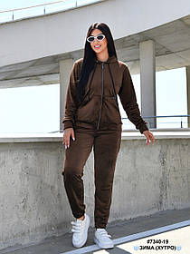 7340-19 Спортивний костюм жіночий на блискавці велюр на хутрі напівбатал (4 од: 48,50,52,54)