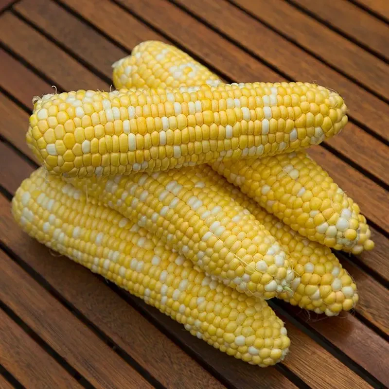 Кукурудза Ксанаду Ф1 20шт