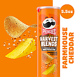 Зернові чіпси Pringles Harvest Blends Farmhouse Cheddar Potato Chips 158g (Примʼята упаковка), фото 7