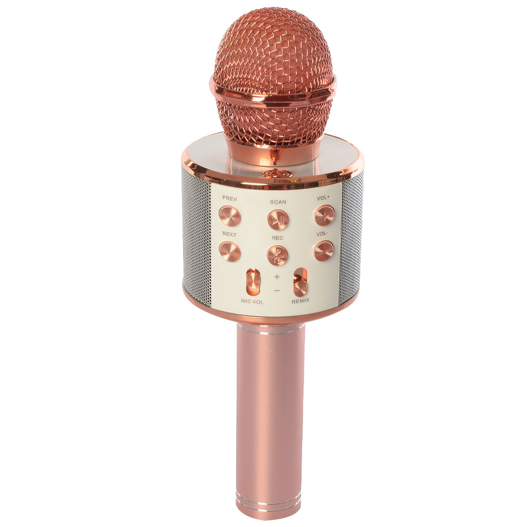Бездротовий караоке мікрофон Wster WS-858 Bluetooth  Портативний караоке-мікрофон з динаміком, фото 1