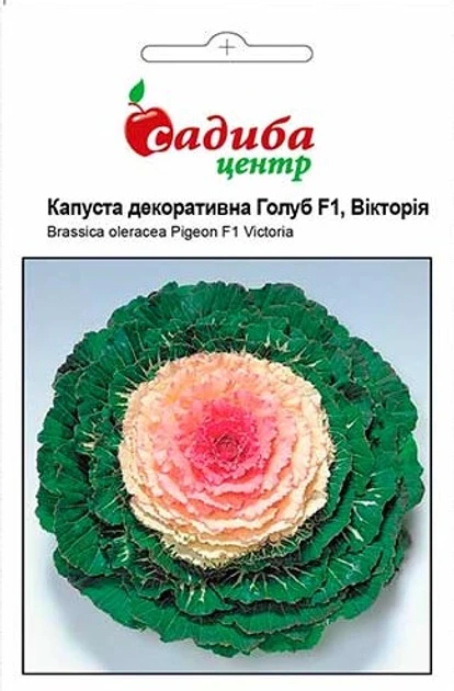 Капуста декоративна Голуб Вікторія Ф-1 10шт