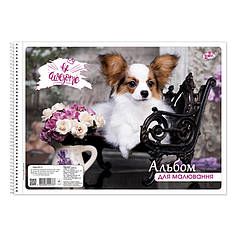 Альб. для малювання 40арк/100г/м  на спіралі САВ-3  Бріск