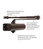 Дотягувач дверний RYOBI 2000 2055V BC STD з фіксуючими ножицями коричневий, фото 2