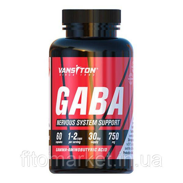 Гамма-аміномасляна кислота ГАМК (GABA) капсули №60 ТМ Вансітон / Vansiton