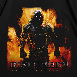 Футболка з принтом Disturbed Indestructible S Чорний, фото 3
