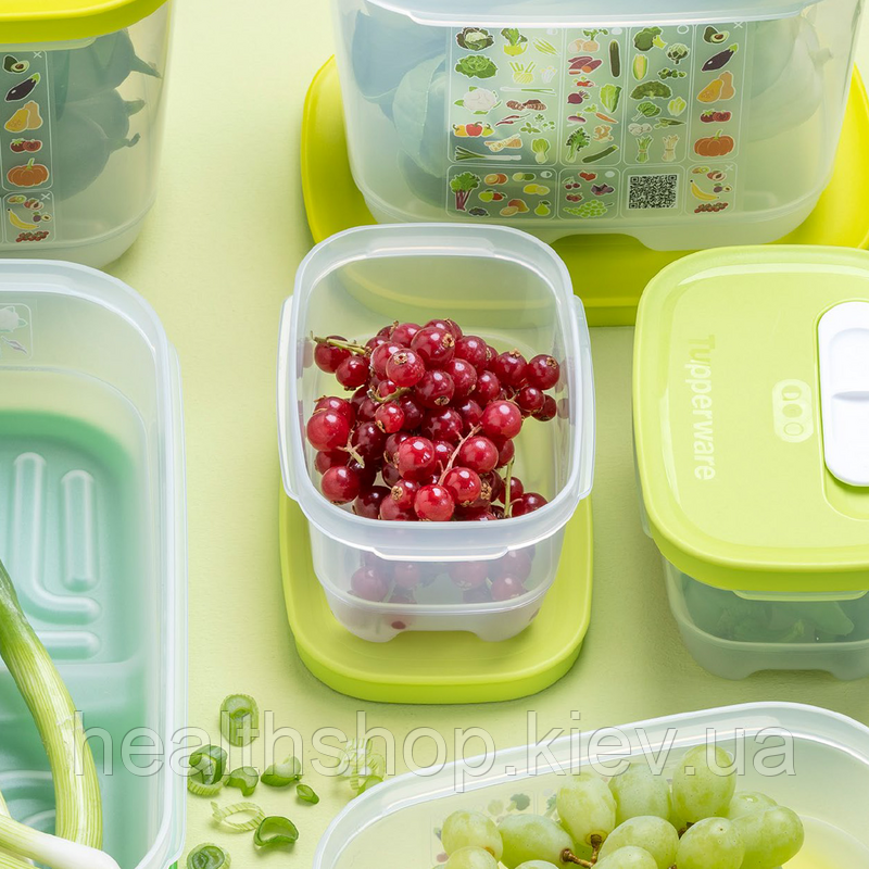 Контейнер «Розумний холодильник» низький на 375 мл Tupperware