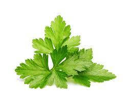 Ароматизатор Кінза харчовий рідкий жиророзчинний ідентичний натуральному