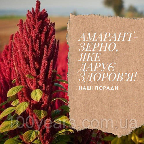 АМАРАНТ- ЗЕРНО, ЯКЕ ДАРУЄ ЗДОРОВ’Я!