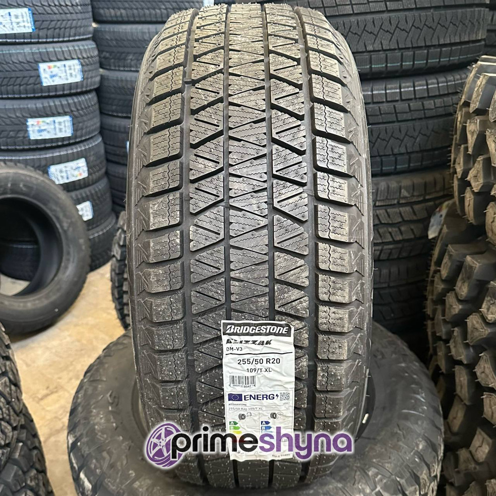 Bridgestone Blizzak DM-V3 255/50 R20 109T XL FR