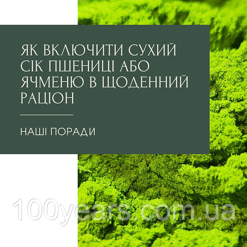 Як включити сухий сік пшениці або ячменю до щоденного раціону?