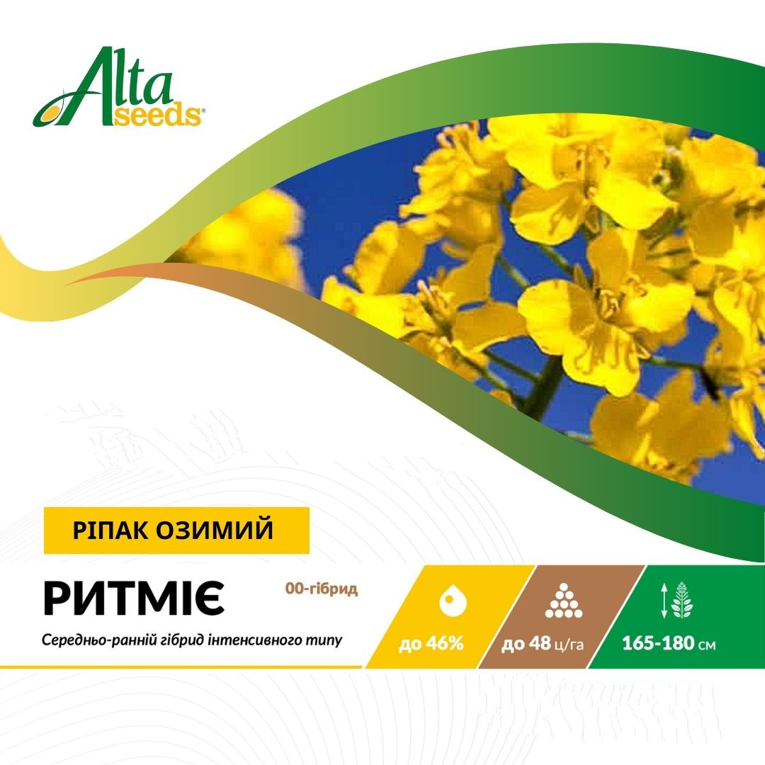 Озимий ріпак Ритміє