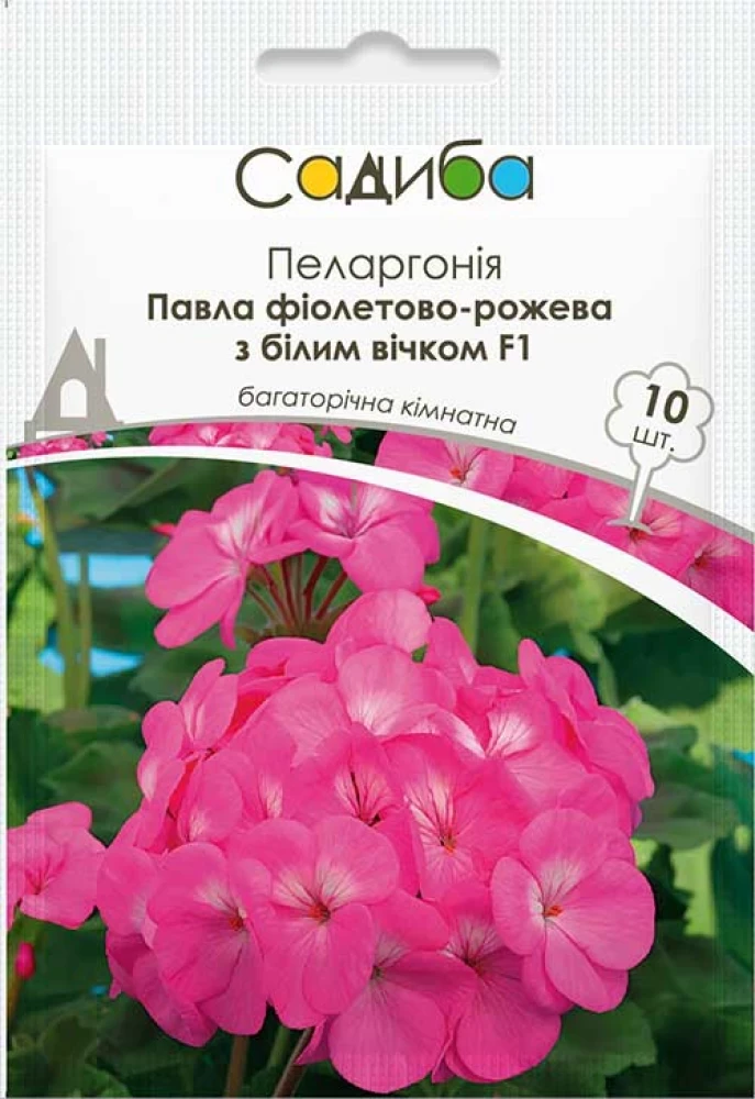 Пеларгонія Павла фіолет-рожева Ф1 10шт