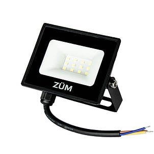 Прожектор світлодіодний ЄВРОСВІТЛО ZUM F02-10 6400K (000058896), фото 2