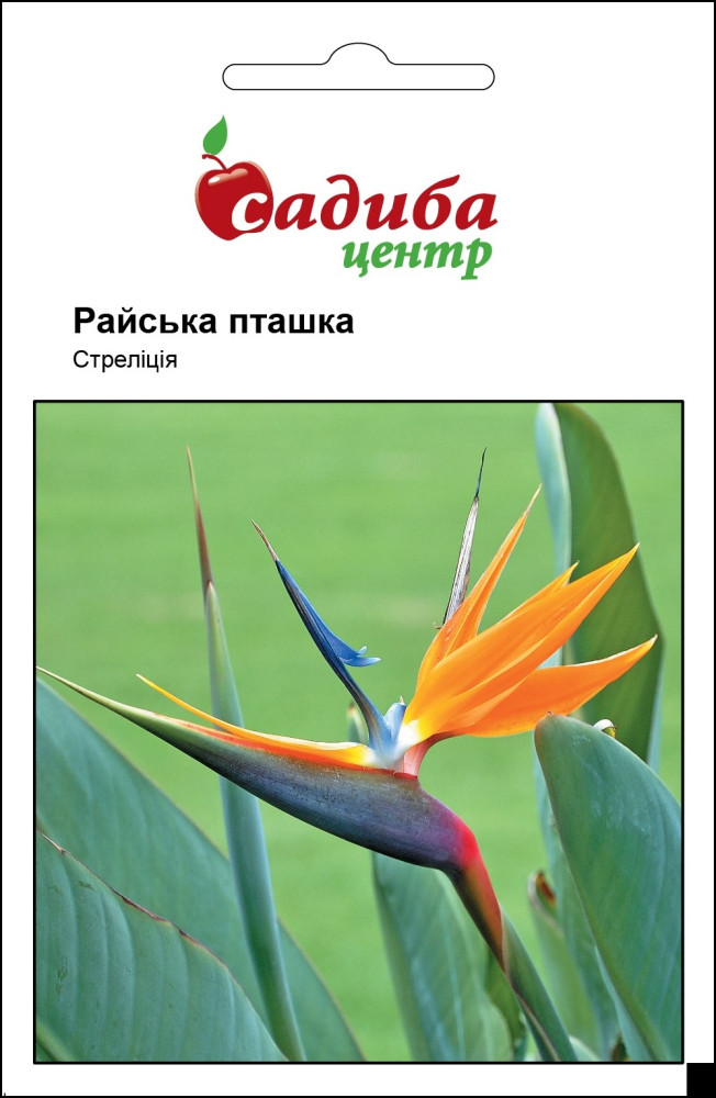 Стреліція Райський птах 3шт