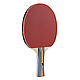 Ракетка для настільного тенісу Joola Team School (52000), фото 2