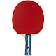 Ракетка для настільного тенісу Joola Team Premium (52002), фото 3