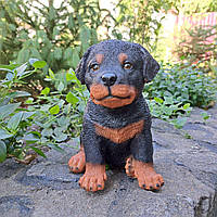 Садова фігура Цуценя ротвейлера, кольорове (17х11х13 см), садові фігури з полістоуну, садові статуетки