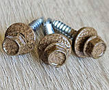 Саморізи золотий дуб 4,8*35 для дерева, фото 6