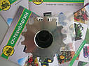 Зірочка похилої камери, JOHN DEERE 9500-9610, WTS, STS, W, T, S серії (Cametet) JOHN DEERE AN102382, фото 5