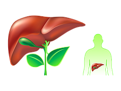Препарати для здоров'я печінки