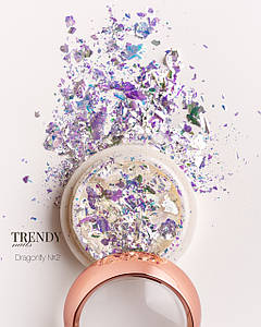 Дизайн для нігтів голографічні хлоп'я Trendy Nails Dragonfly №02