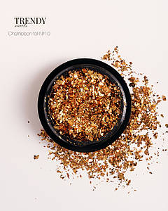 Фольга Trendy Nails Chameleon Foil No10