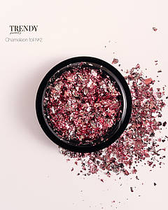 Фольга Trendy Nails Chameleon Foil №02