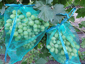 Сітка для захисту винограду 2 кг (22*33см) 50шт/уп, зелена Так, фото 2