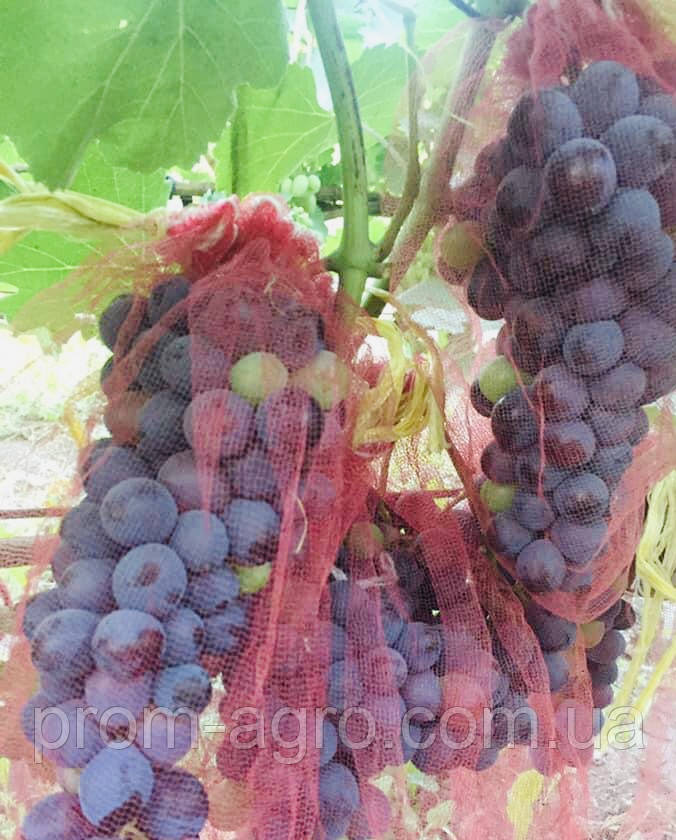 Сітка для захисту винограду 5 кг (28*40см) 50шт/уп, червона Так