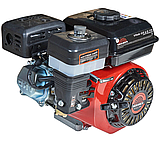 Двигун бензиновий Vitals GE 6.0-19k, фото 6