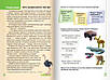 Книга "Веселі історії про літні канікули. З 2 в 3 клас" - Шевчук Л. (українською мовою), фото 3