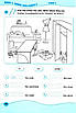 Робочий зошит. Англійська мова. English. Workbook 2 клас. НУШ — Вітушинська Н. (Українською мовою), фото 3