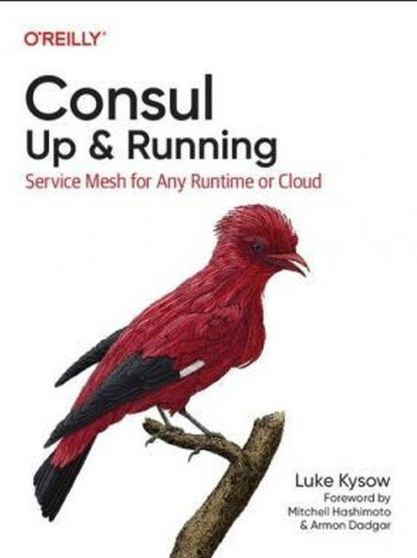 Книга "Consul: Up & Running: Service Mesh for Any Runtime or CloudConsul" — Luke Kysow (Англійською мовою)