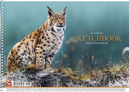 Альбом для малювання 30 л, A4, спіраль, лак "Школярик" / Рись