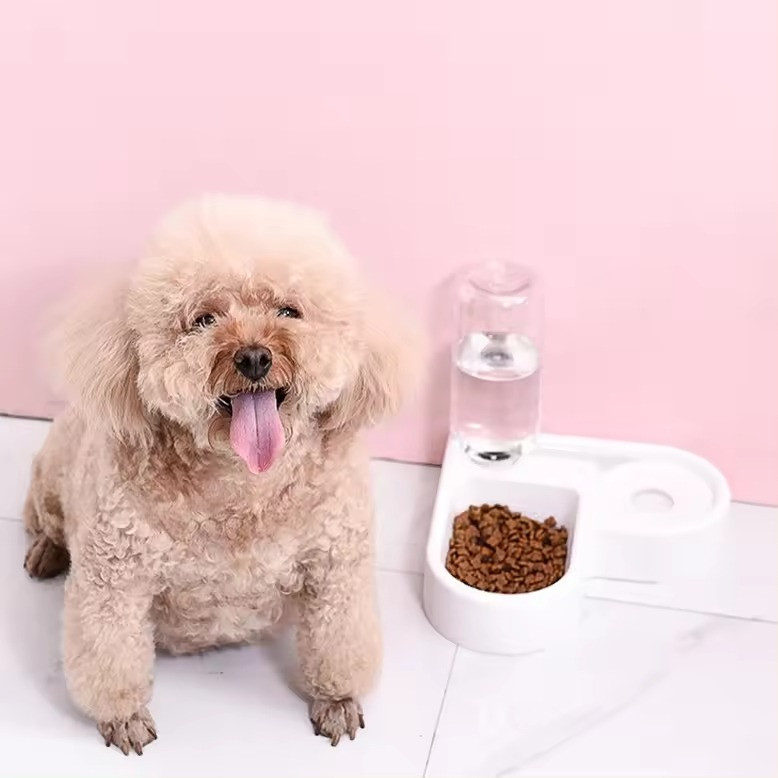 Мисочка для кота для корму 3в1 Поїлка для котів і собак годівниця миска подвійна з пляшкою для пиття