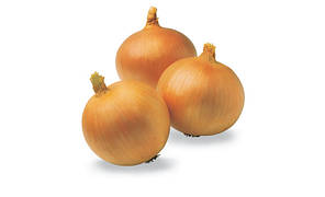 Цибуля Сібір Бейо | Sibir Bejo 250 000 т