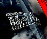 Австралійський Хілер (австралійська пастуша собака) (Australian CattleDog) стикер, фото 2