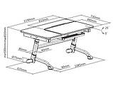 Дитячий стіл-трансформер FunDesk Amare Grey, фото 5