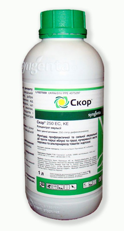 Фунгіцид Скор 250 ЕС к.е., 1 л