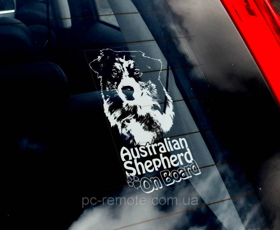 Австралийская овчарка (Australian Shepherd) стикер - фото 2 - id-p30388653