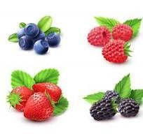 Ароматизатор Лісова ягода (малина, суниця, чорниця)  харчовий рідкий водорозчинний ідентичний натуральному