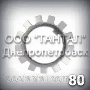 Шайба 80 DIN 5406, ГОСТ 8530-90, ГОСТ 8725-83 стопорна багатолапчаста