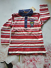 Дитяче поло для хлопчика BRUMS Італія 123BDFL006