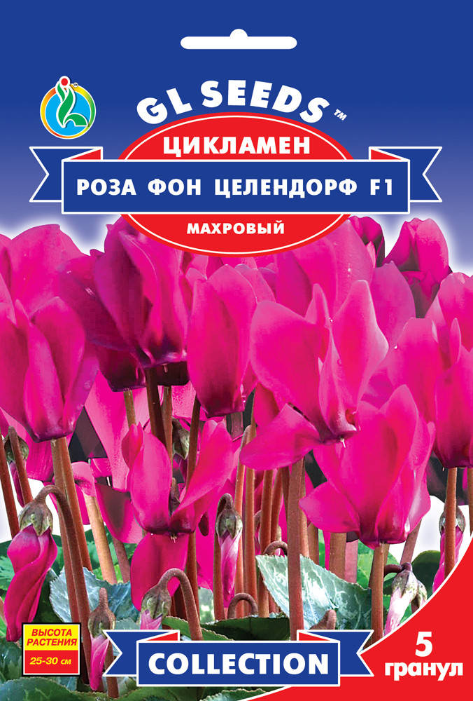 

Цикламен Роза фон Целлендорф