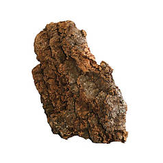 Декорація коряга PIATTA, плоска, 25х35 см (для тераріумів)