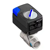 Кран із електроприводом Mastino 12В 1"