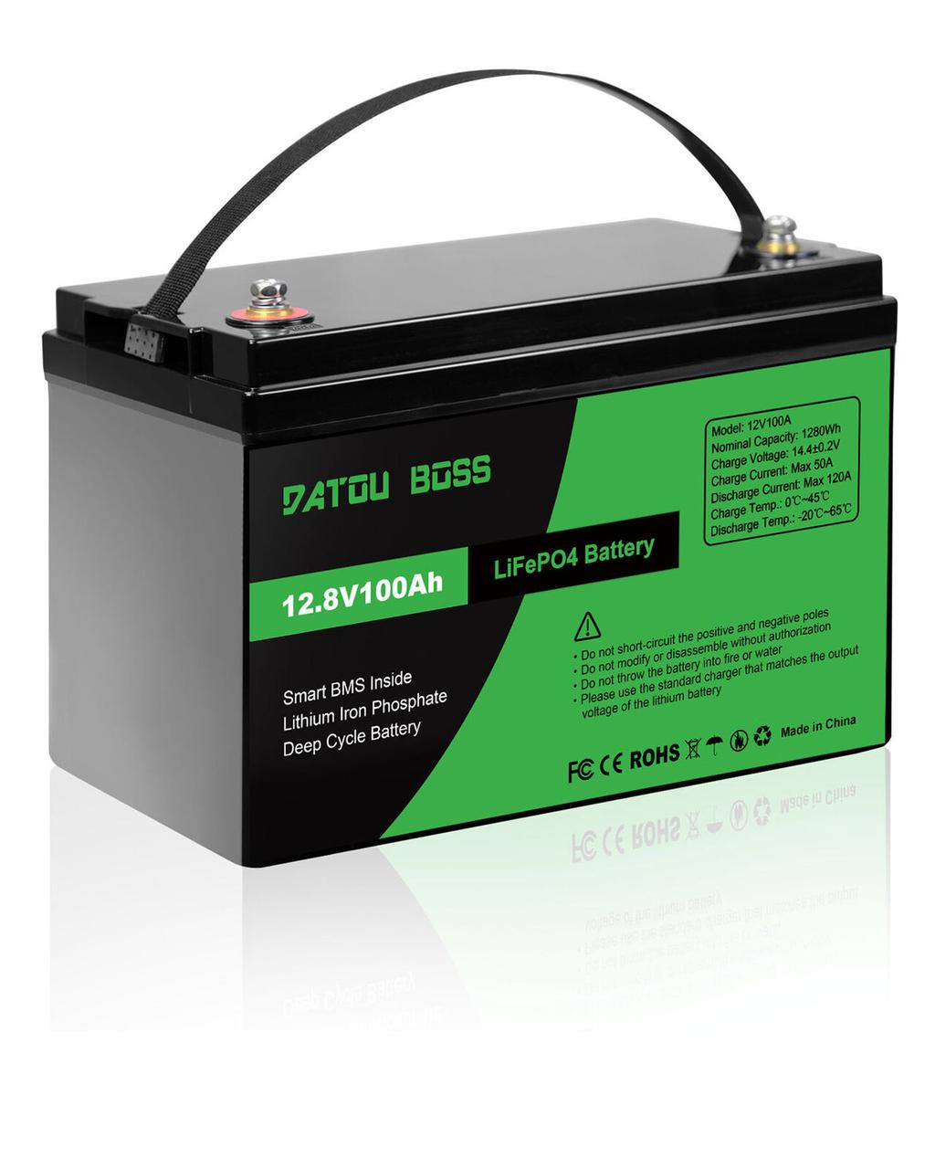 Акумулятор LiFePO4 100Ah 12V BMS (літій-залізо-фосфатний) DatouBoss, фото 1