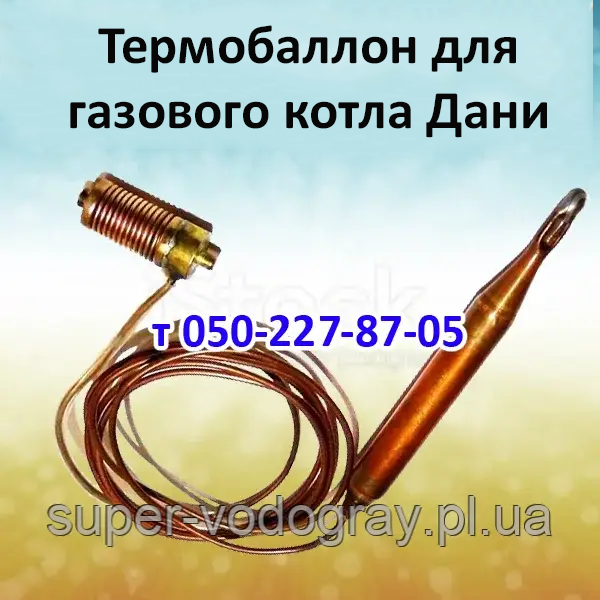 Термобалон для газового котла Дані, фото 1