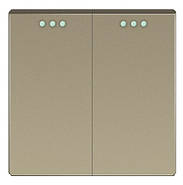 Wi-Fi регулятор теплої підлоги + Вимикач 2 клавіші 1DAL | Золото (P157-SW2G-TR.WF.GD), фото 2