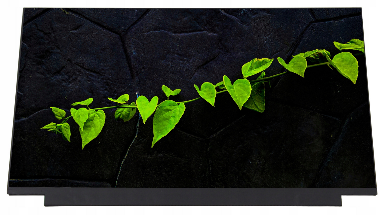 Матриця (екран) для ноутбука Asus TUF Gaming F15 FX507Z, FX507ZC4 144Hz